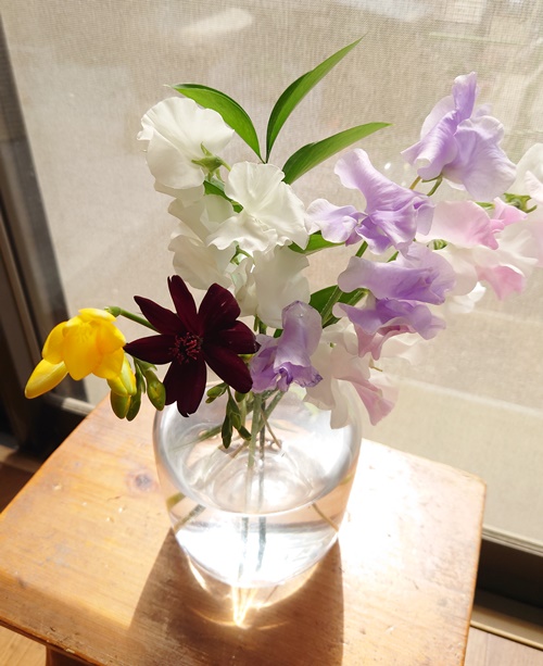 タスハナ2回目の花