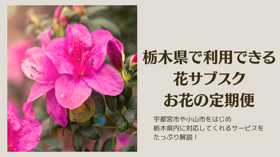 栃木県の花サブスク・お花の定期便