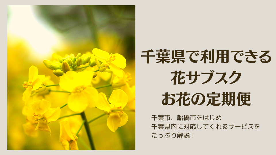 千葉県で利用できる花サブスク・お花の定期便のおすすめ