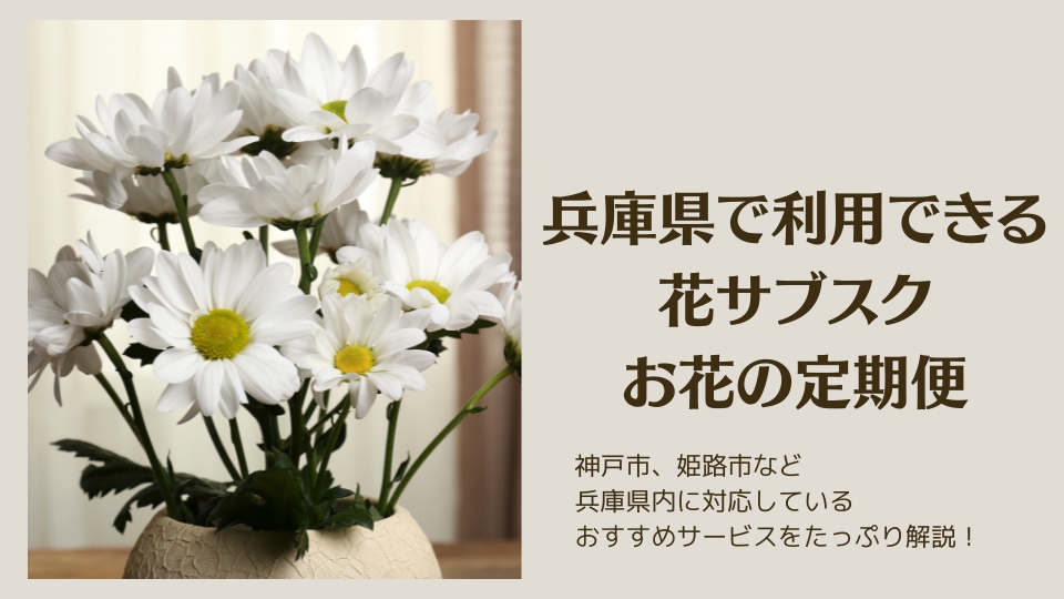 兵庫県の花サブスク・お花の定期便のおすすめ